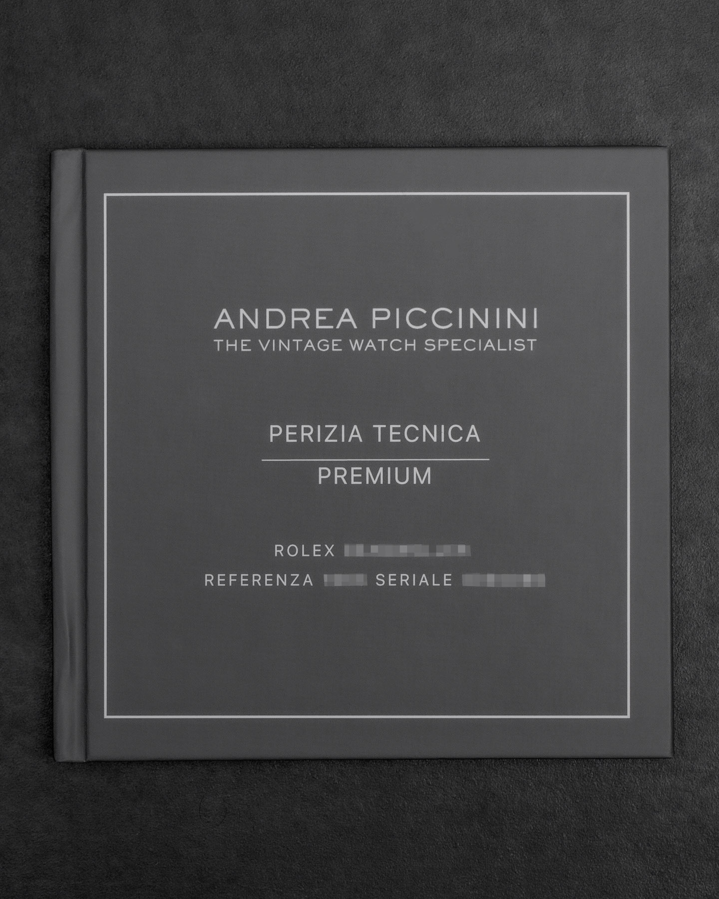 PV7B8873-Modifica